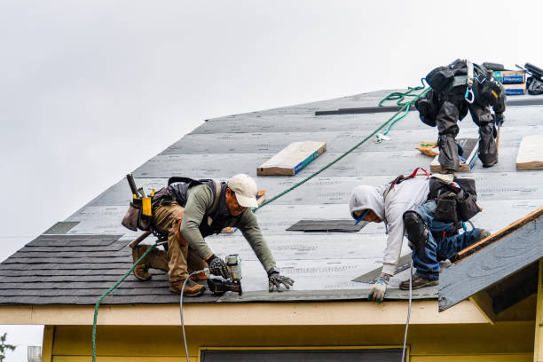 Professional Roofing technician working in Lexington, WA